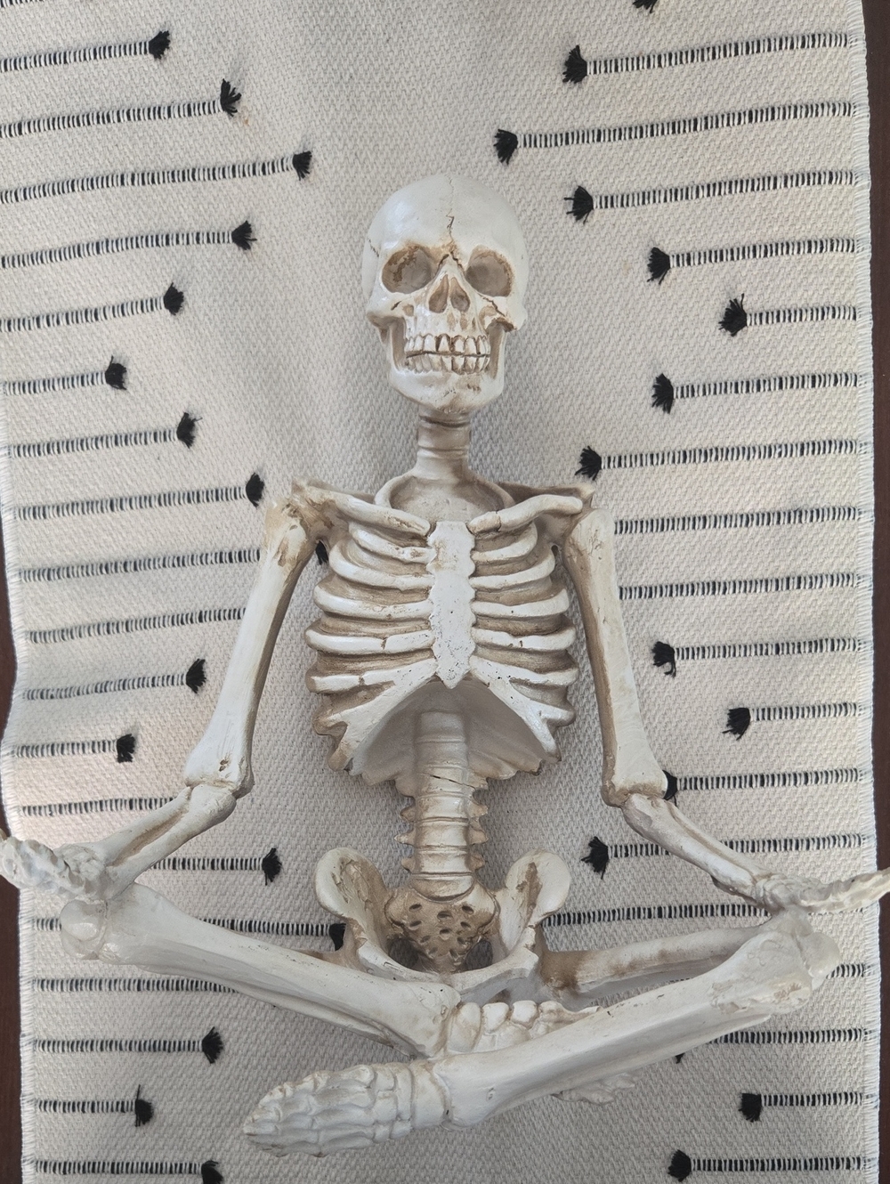 Decorative Sitting Skeleton